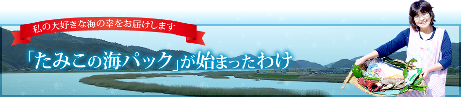 「たみこの海パック」が始まったわけ